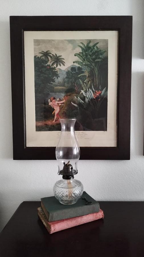 Casa Da Avo Genoveva Guest House Tomar Bagian luar foto