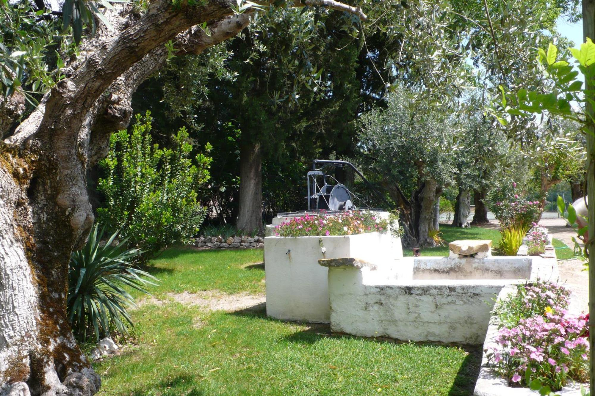 Casa Da Avo Genoveva Guest House Tomar Bagian luar foto
