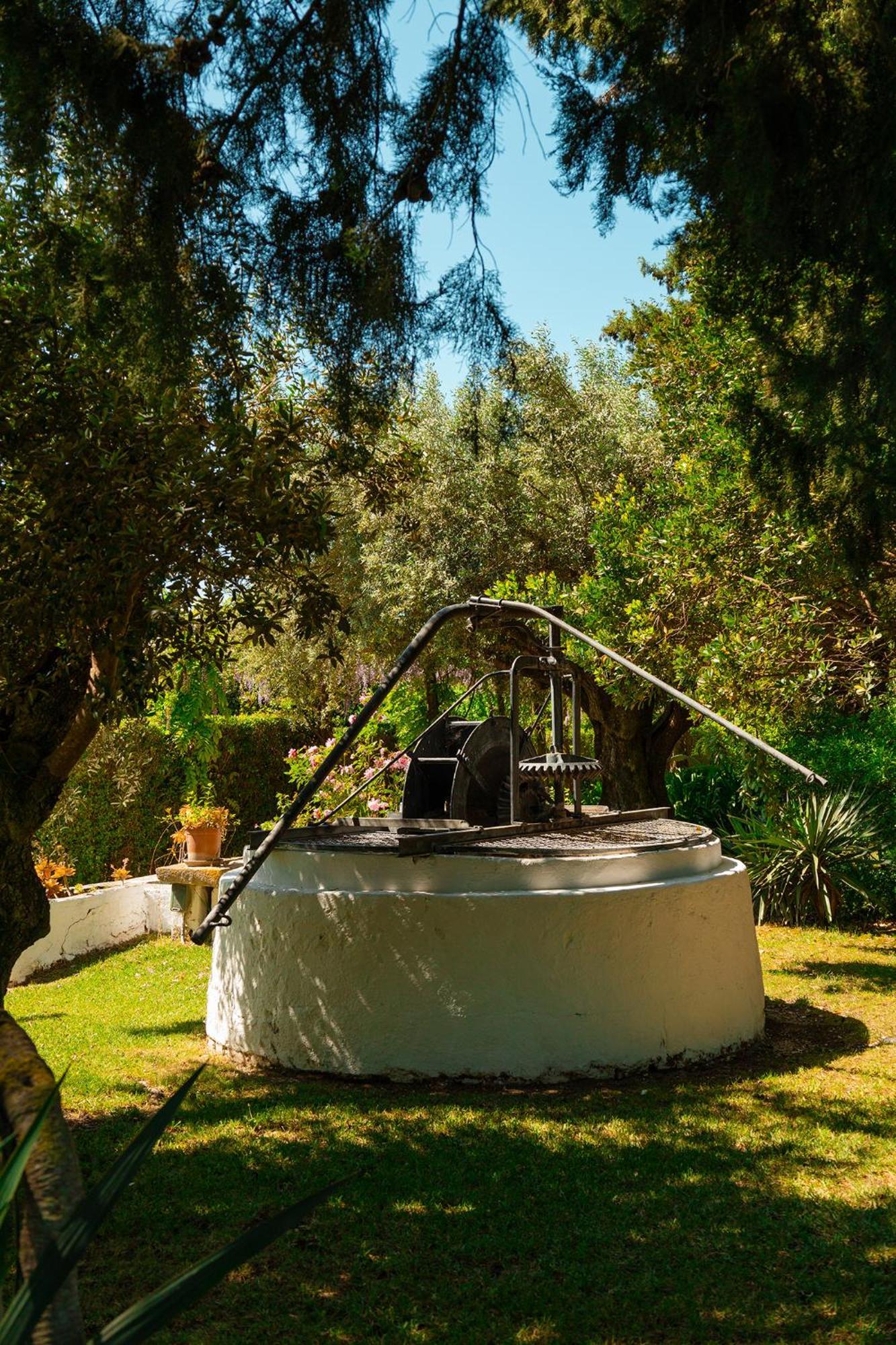 Casa Da Avo Genoveva Guest House Tomar Bagian luar foto