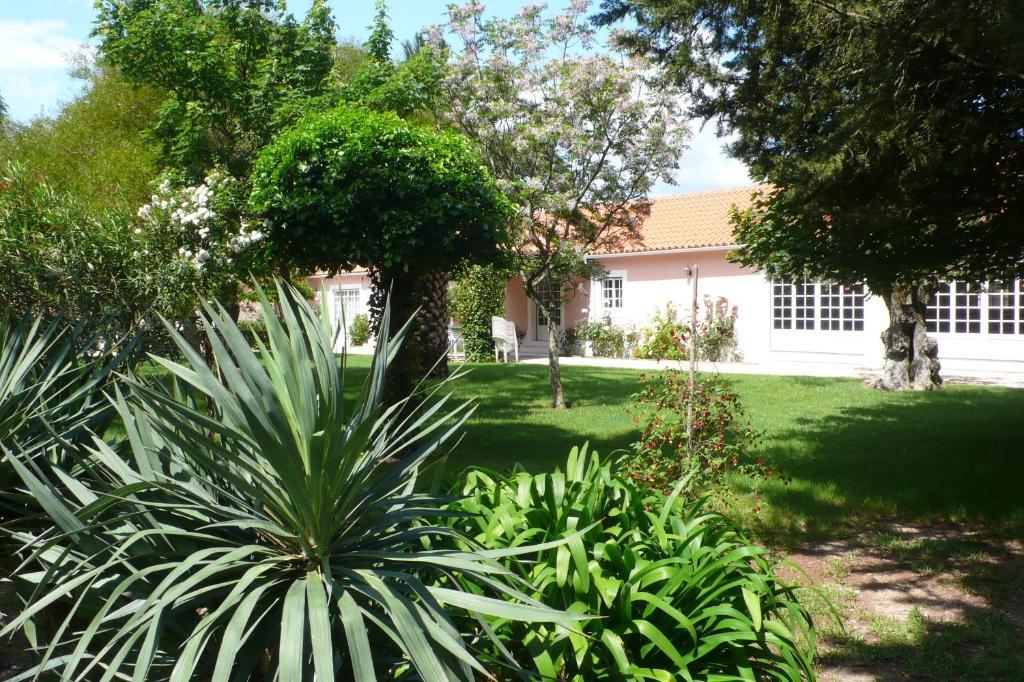 Casa Da Avo Genoveva Guest House Tomar Bagian luar foto